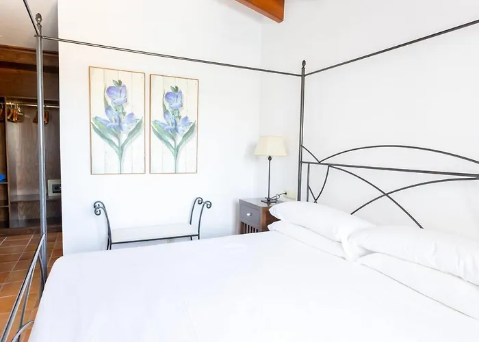 Finesse Type 1 By Interhome Son Bou