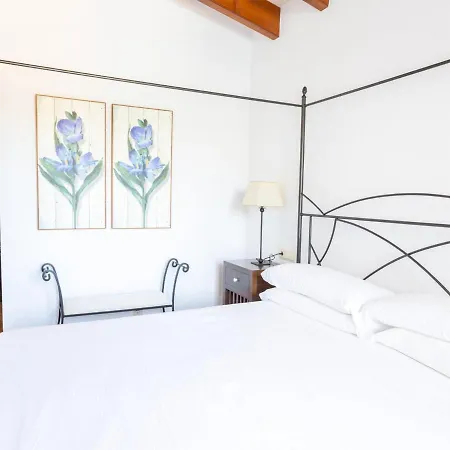 Finesse Type 1 By Interhome Son Bou